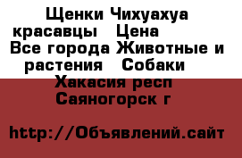 Щенки Чихуахуа красавцы › Цена ­ 9 000 - Все города Животные и растения » Собаки   . Хакасия респ.,Саяногорск г.